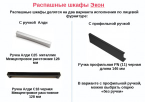 Шкаф с 2 ящиками со штангой Экон ЭШ1-РП-19-4-R-2я с зеркалом в Белорецке - beloreck.magazinmebel.ru | фото - изображение 2