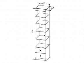 Шкаф Сканди ШД450.1 в Белорецке - beloreck.magazinmebel.ru | фото - изображение 2